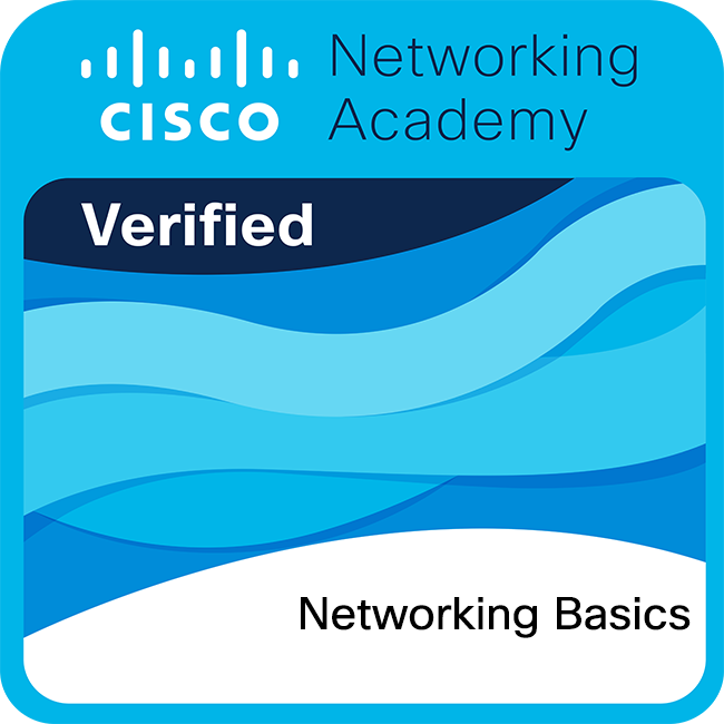 Networking Basics badge
