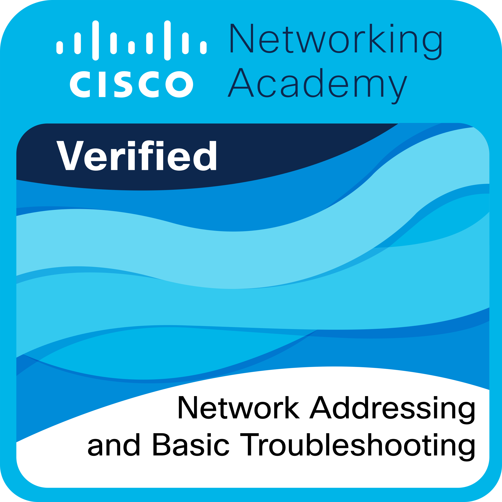Network Addressing and Basic Troubleshooting badge